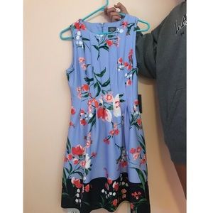 Vince camuto dress